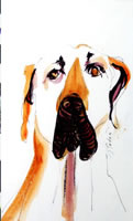 Droopy Dog by Judy Paden, Pen & Ink